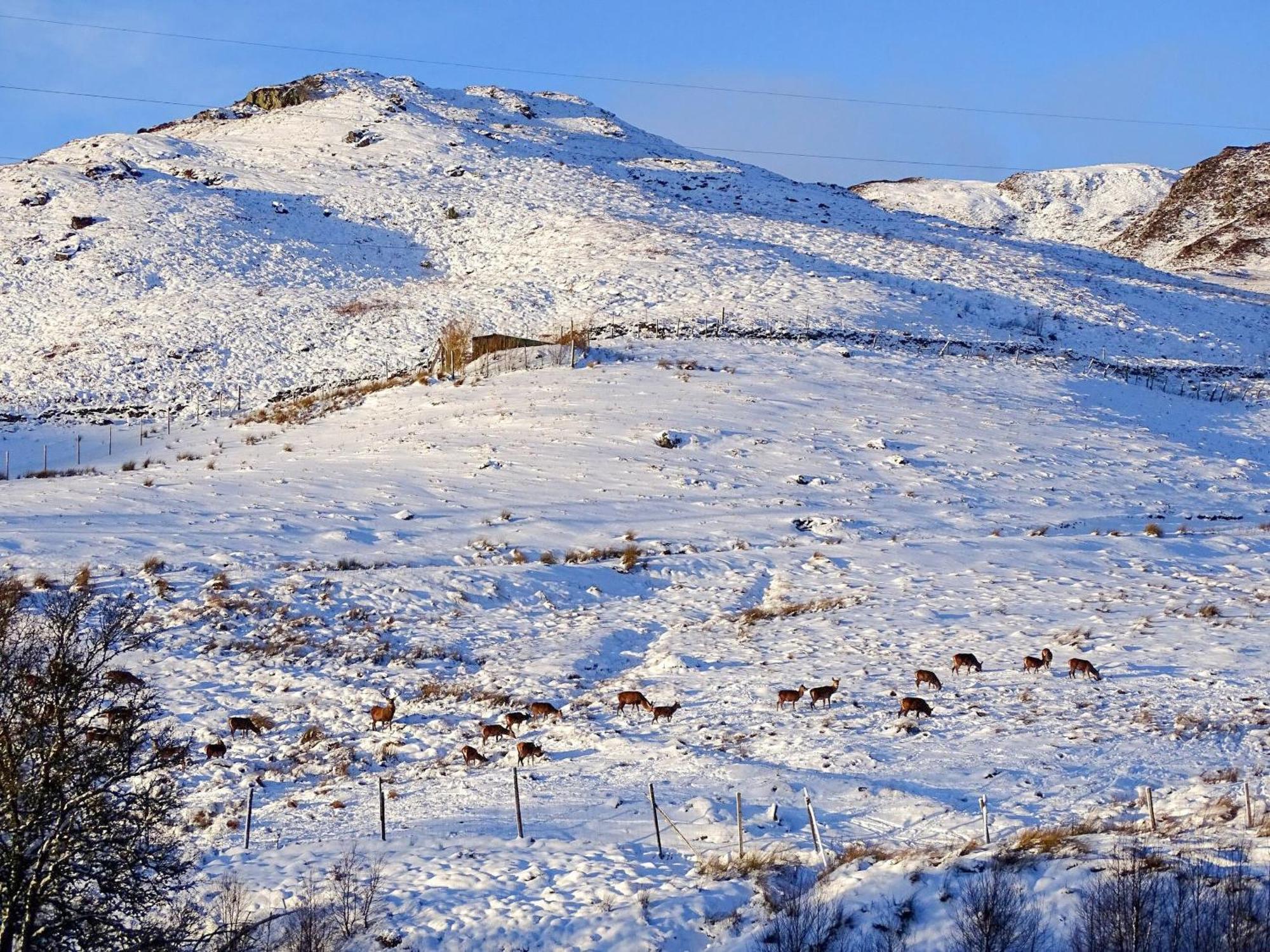 Glengoulandie Lodge ภายนอก รูปภาพ